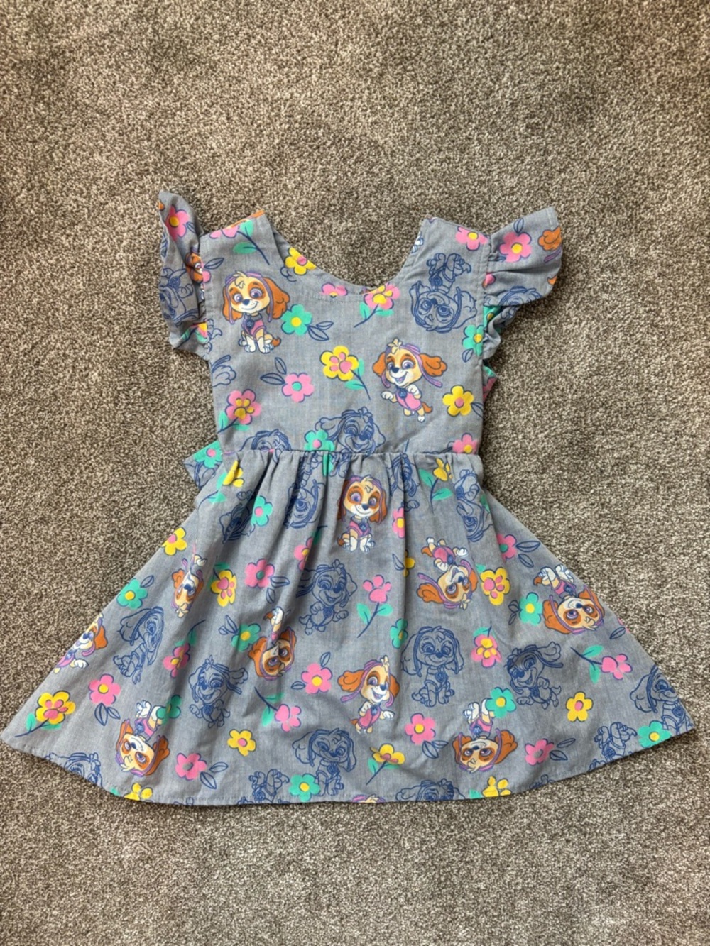 Paw Patrol Skye Floral Fit-and-Flare Dress